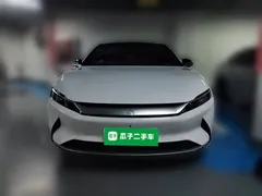 2021 BYD Han EV Standard Range Luxury, белый — фото 2