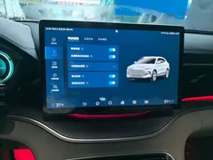2021 BYD Song PLUS DM-i PHEV 110KM Flagship Plus, чёрный — фото 20
