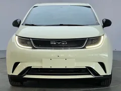 2025 BYD Dolphin EV 420km Active, зелёный — фото 2