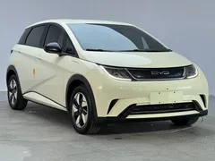 2025 BYD Dolphin EV 420km Active, зелёный — фото 3
