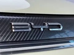 2025 BYD Dolphin EV 420km Active, зелёный — фото 5