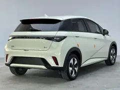 2025 BYD Dolphin EV 420km Active, зелёный — фото 15