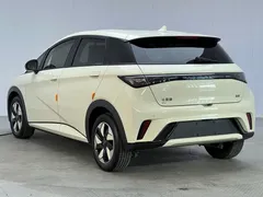 2025 BYD Dolphin EV 420km Active, зелёный — фото 16