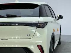 2025 BYD Dolphin EV 420km Active, зелёный — фото 17