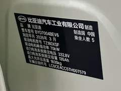 2025 BYD Dolphin EV 420km Active, зелёный — фото 18