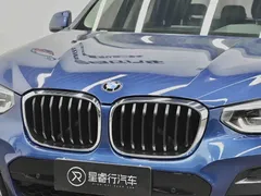 2021 BMW X3, синий — фото 9