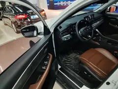 2021 Geely Vision X6 PRO 1.4T AT Premium, белый — фото 16