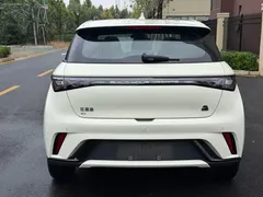 2023 BYD Dolphin 420km Fashion, белый — фото 8