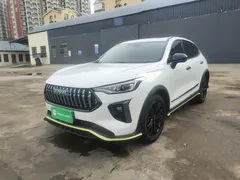 2021 Haval Chitu 1.5T, белый — фото 2