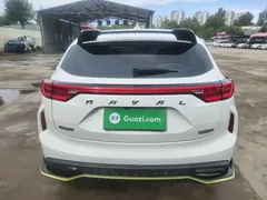 2021 Haval Chitu 1.5T, белый — фото 6