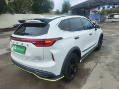 2021 Haval Chitu 1.5T, белый — фото 7