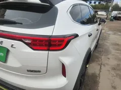 2021 Haval Chitu 1.5T, белый — фото 8