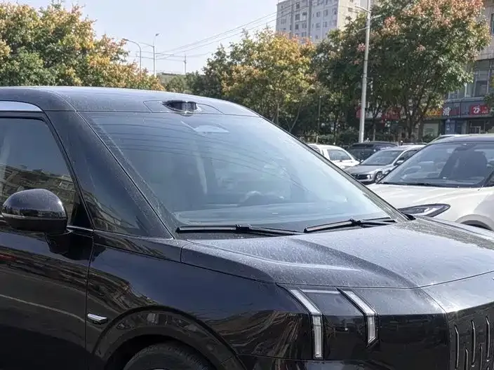 2024 Zeekr 009