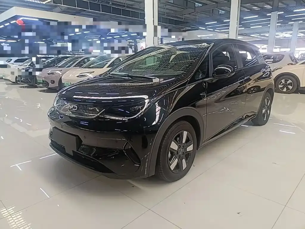 2025 BYD Dolphin Smart Driving 410km Fashion