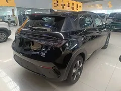 2025 BYD Dolphin Smart Driving 410km Fashion, чёрный — фото 7