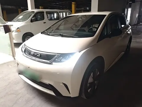 2023 BYD Dolphin 420km Freedom