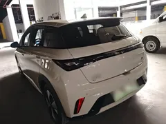 2023 BYD Dolphin 420km Freedom — фото 5