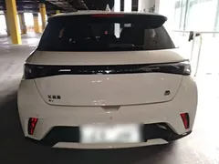2023 BYD Dolphin 420km Freedom — фото 6