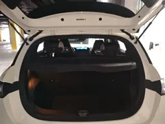2023 BYD Dolphin 420km Freedom — фото 19
