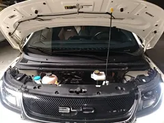 2023 BYD Dolphin 420km Freedom — фото 20