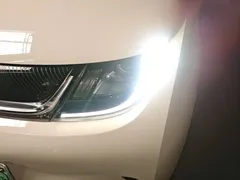 2023 BYD Dolphin 420km Freedom — фото 24