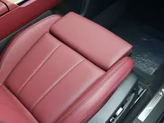 2022 Hongqi E-HS9 EV 660km Qichang 6-seat — фото 20