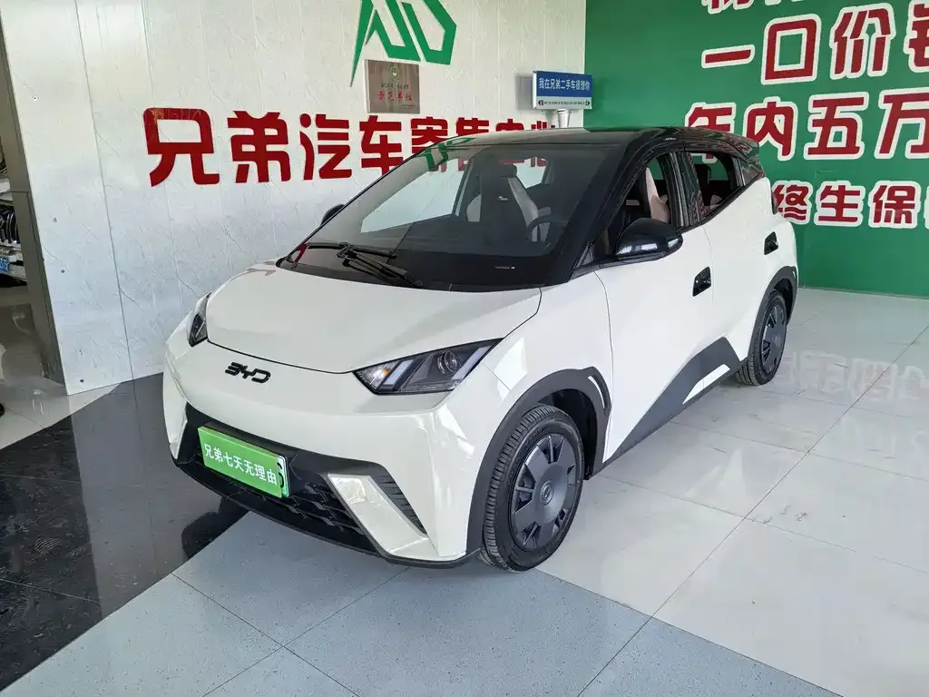 2025 BYD Seagull 305km Vitality