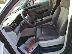 2023 Leapmotor C11 EREV 300 Comfort — фото 15