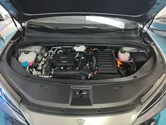 2024 BYD Song L PHEV 112km Leading — фото 20