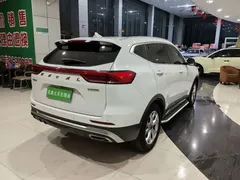 2021 Haval H6 1.5T AT Champion, белый — фото 13