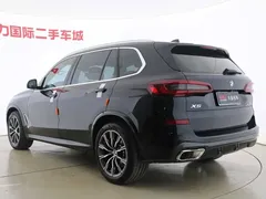 2022 BMW X5 30Li Premium M Sport Package, чёрный — фото 15