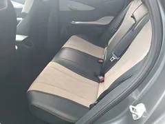 2023 BYD Dolphin 420km Fashion, белый — фото 17
