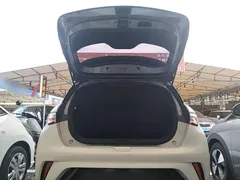 2023 BYD Dolphin 420km Fashion, белый — фото 19