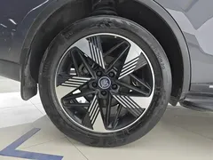 2023 BYD Tang DM-i PHEV Champion 112km Premium — фото 6