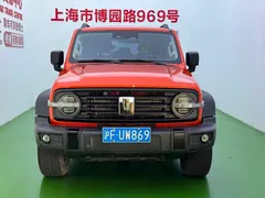 2022 Tank 300 2.0T Border Limited — фото 2