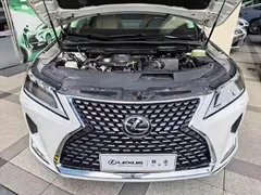 2020 Lexus RX 300 4WD Elegant, белый — фото 8