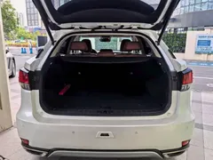 2020 Lexus RX 300 4WD Elegant, белый — фото 9