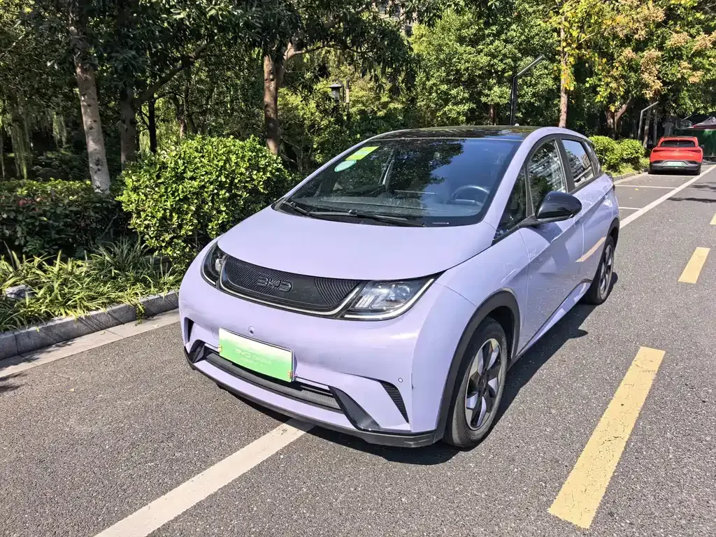 2024 BYD Dolphin Honor 420km Fashion