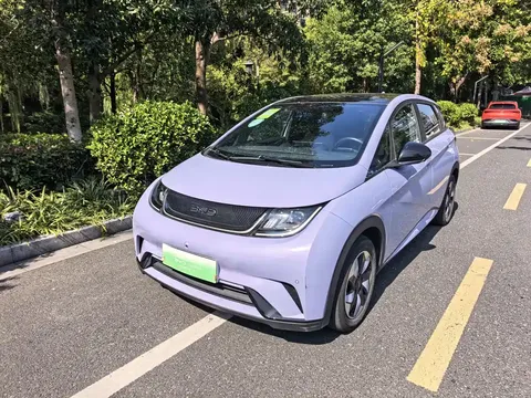 2024 BYD Dolphin Honor 420km Fashion