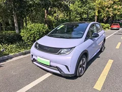 2024 BYD Dolphin Honor 420km Fashion — фото 1