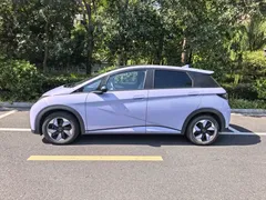 2024 BYD Dolphin Honor 420km Fashion — фото 2