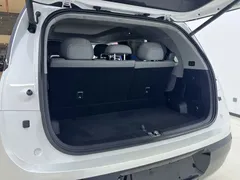 2025 Zeekr Mix Smart Driving, белый — фото 10