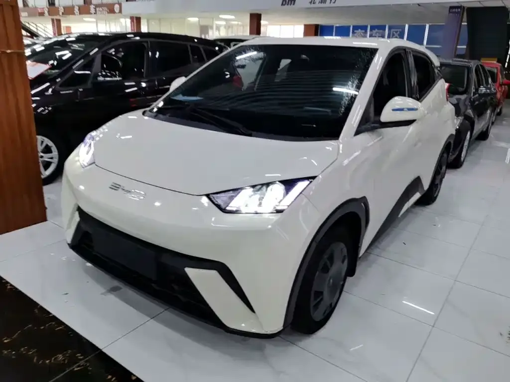 2023 BYD Seagull Vitality