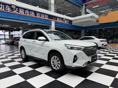 2023 Haval M6 Plus 1.5T DCT Luxury, белый — фото 3