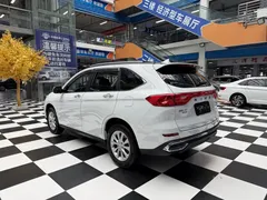 2023 Haval M6 Plus 1.5T DCT Luxury, белый — фото 7