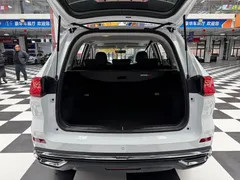 2023 Haval M6 Plus 1.5T DCT Luxury, белый — фото 8