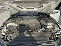 2022 BMW 3 Series 320Li M Sport Package, белый — фото 11