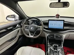 2024 BYD Qin PLUS Honor DM-i PHEV 55km Leading, белый — фото 21