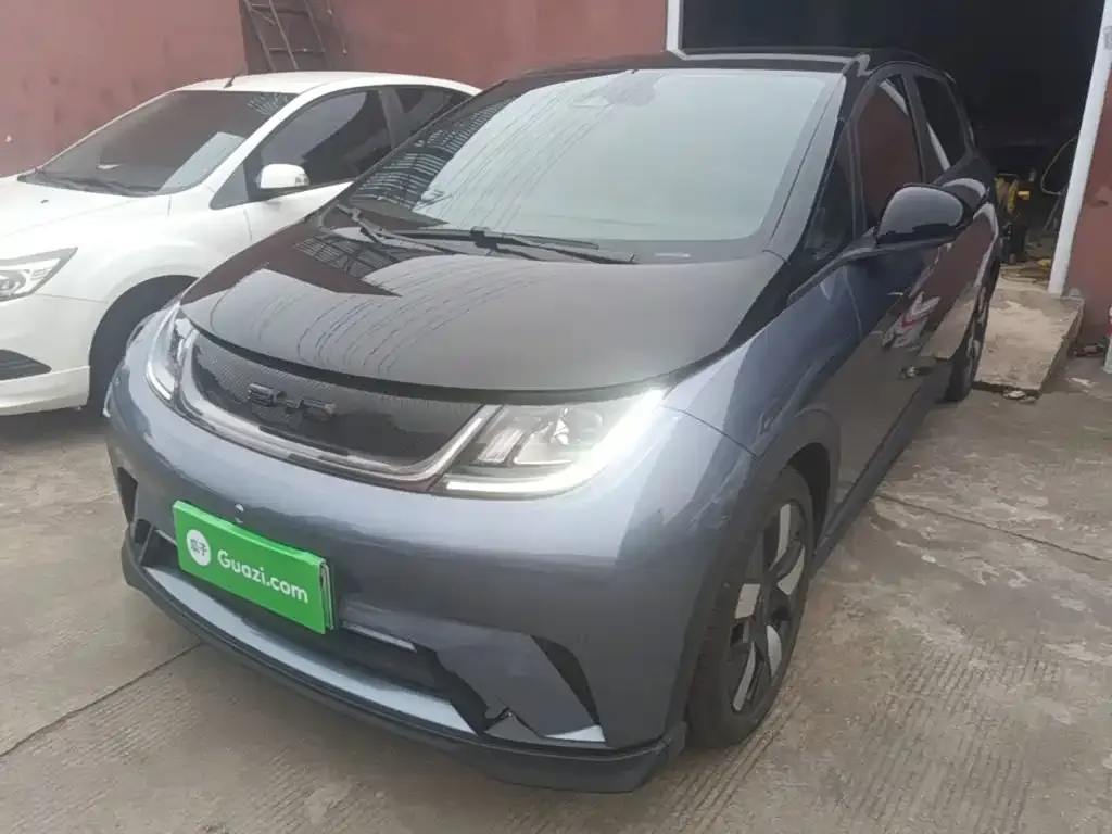 2023 BYD Dolphin 401km Knight