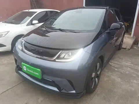 2023 BYD Dolphin 401km Knight